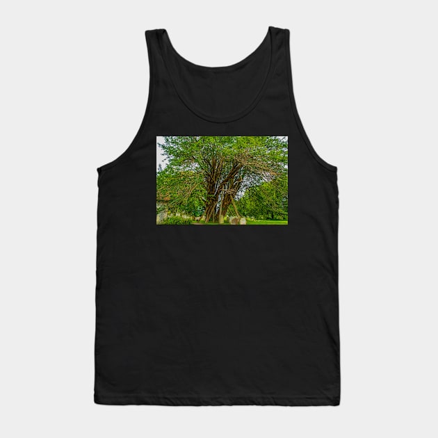 Ancient Yew Tree, Wilington Churchyard, East Sussex Tank Top by mbangert